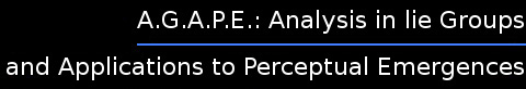 Mathematical Models of Visual Perception